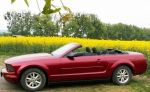 Ford Mustang Cabrio V6 - 2007